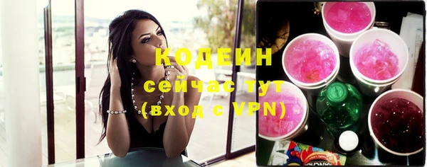 стаф Елизово