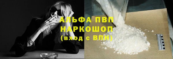 стаф Елизово