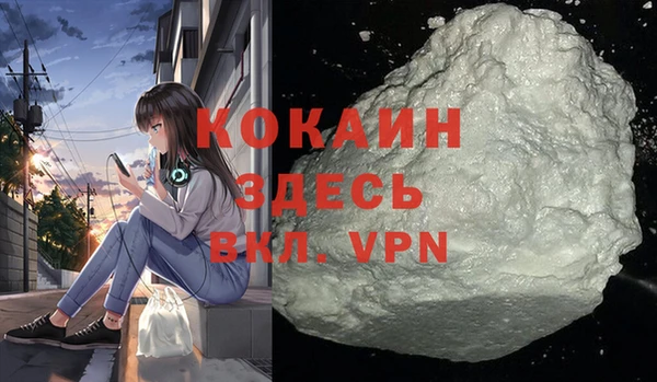 стаф Елизово