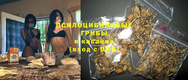 марки nbome Ельня