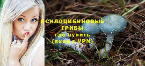 прущие крисы Елабуга