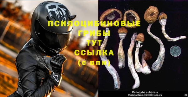 марки nbome Ельня