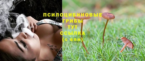 прущие крисы Елабуга