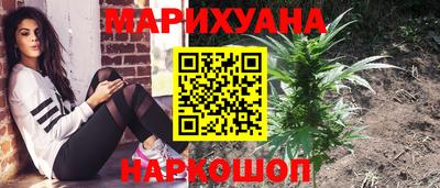 гидропоника Кингисепп