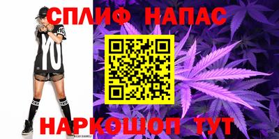 гидропоника Кингисепп