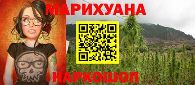 гидропоника Кингисепп