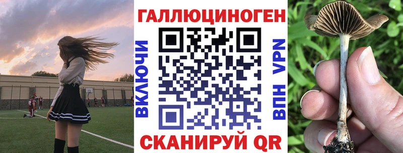 hydra ссылки  Заинск  Галлюциногенные грибы Psilocybine cubensis  цена наркотик 