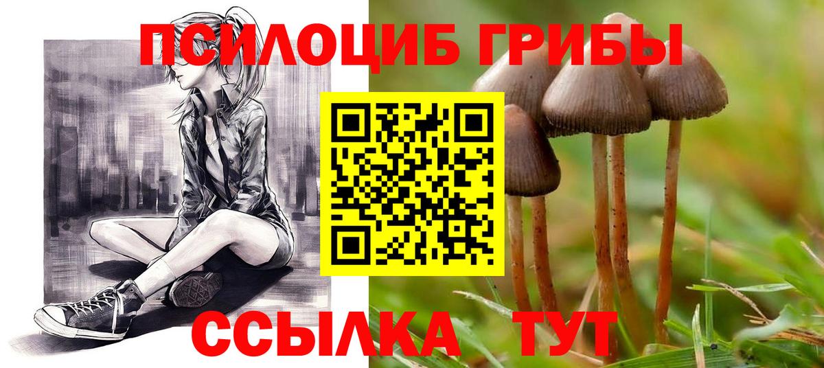 Псилоцибиновые грибы ЛСД  Вход с VPN  Галлюциногенные грибы мицелий  Заинск 