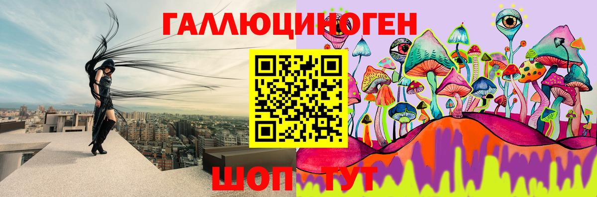 Галлюциногенные грибы Psilocybine cubensis Заинск