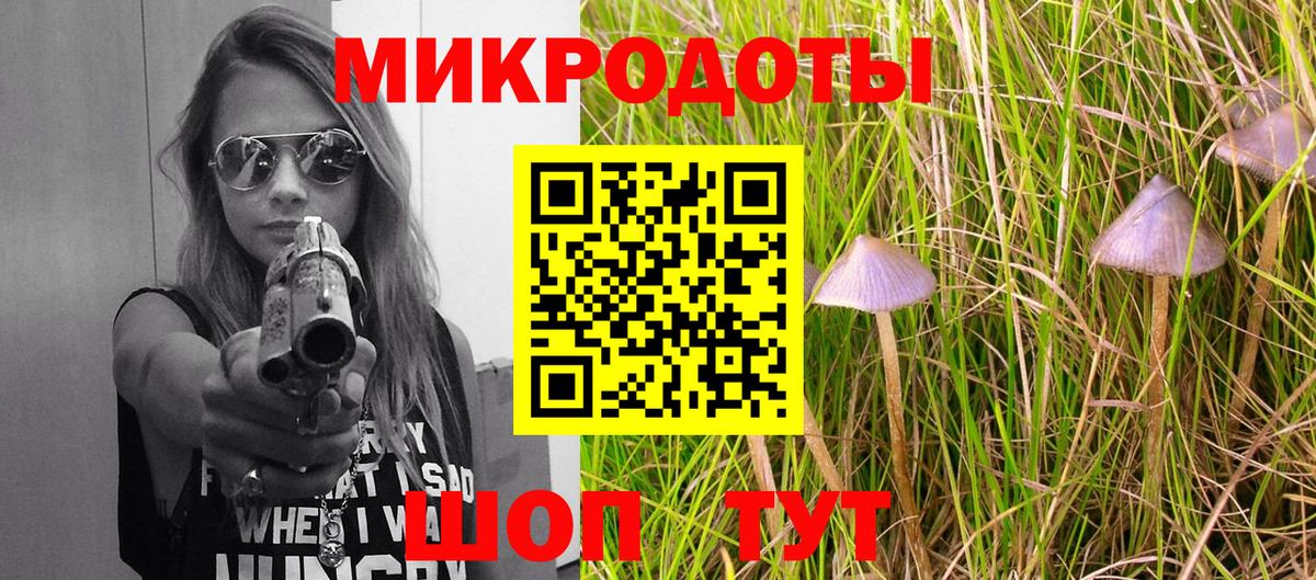 Псилоцибиновые грибы мицелий  Заинск 